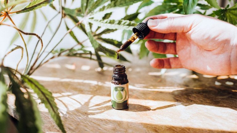 CBD oil: how to use it for the well-being of our body
